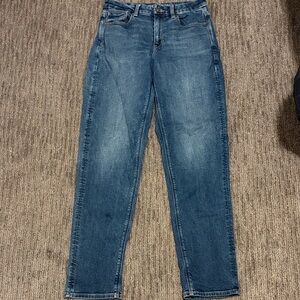 American Eagle Outfitters Blue Straight Leg Jeans